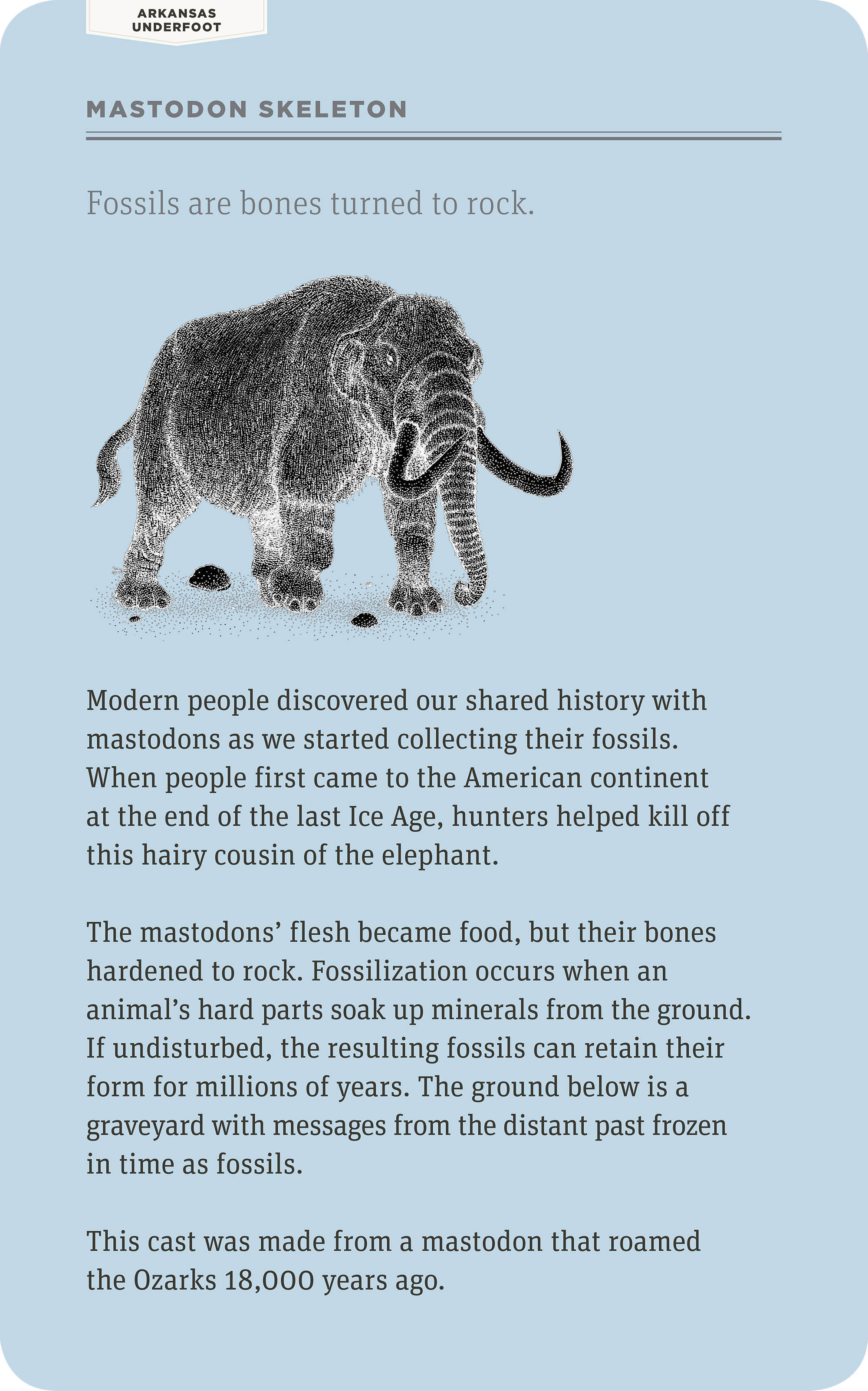 Mastodon Skeleton Intro Label